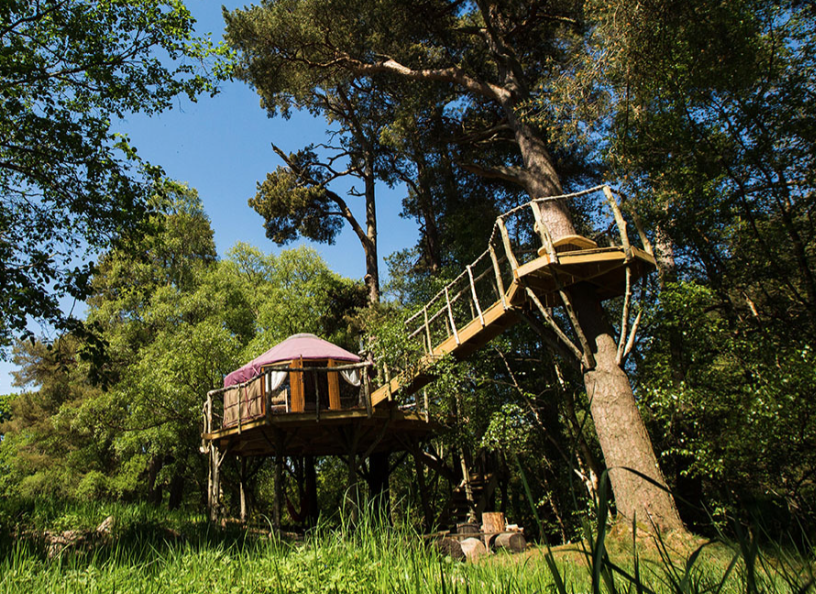Best Treehouses in Northumberland
