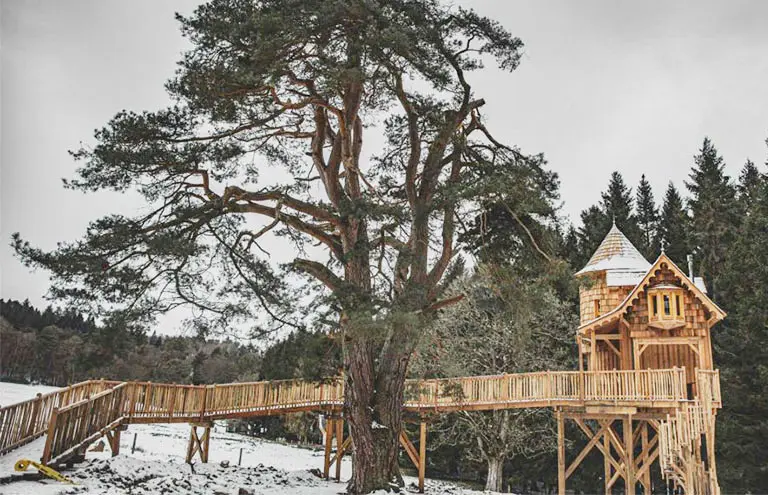 Treehouses in Northumberland