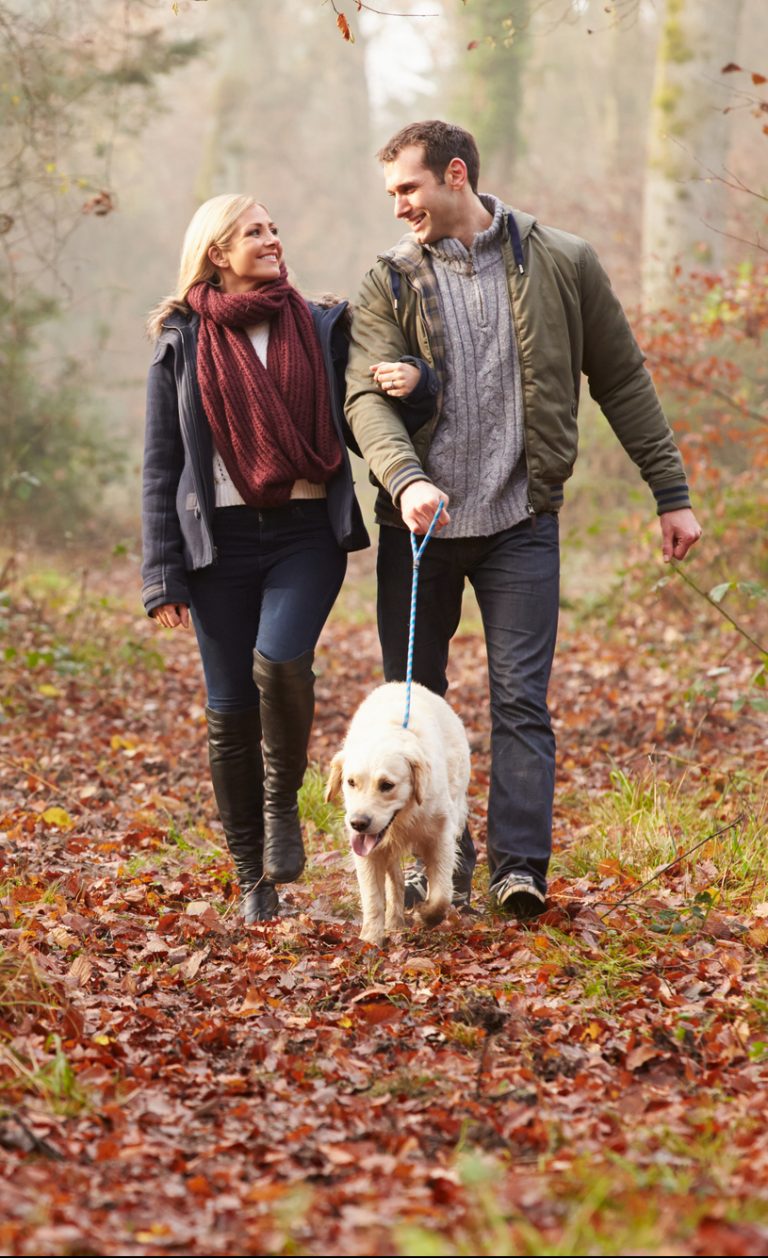 22 Dog and Pet Friendly Lodges with Hot Tubs UK 2023 Best Lodges With